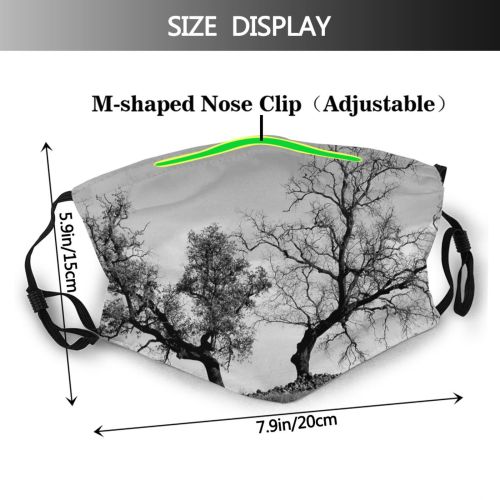 yanfind Dead Winter Natural Sadness Landscape Sky Branch Tree Tree Leafs Trees Dry Dust Washable Reusable Filter and Reusable Mouth Warm Windproof Cotton Face