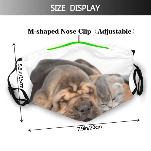 yanfind Friends Isolated Thoroughbred Young Relations Together Little Cat Relationship Cute Newborn Friendly Dust Washable Reusable Filter and Reusable Mouth Warm Windproof Cotton Face