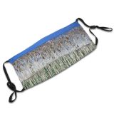 yanfind Family Flower Lake Shore Plant Crop Poppies Blu Phragmites Poales Stem Grass Dust Washable Reusable Filter and Reusable Mouth Warm Windproof Cotton Face