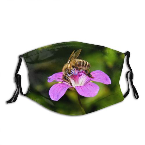 yanfind Plant Flower Bug Bee Flower Bee Insect Pollinator Plant Insect Winged Macro Dust Washable Reusable Filter and Reusable Mouth Warm Windproof Cotton Face