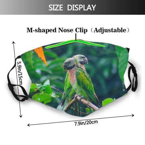 yanfind India Beak Bird Wing Plant Parakeet Leaf Adaptation Rainforest Parrot Organism Indian Dust Washable Reusable Filter and Reusable Mouth Warm Windproof Cotton Face