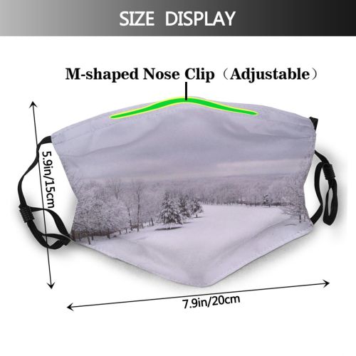 yanfind Course Winter Winter Natural Atmospheric Snowfall Landscape Sky Snow Tree Blizzard Frost Dust Washable Reusable Filter and Reusable Mouth Warm Windproof Cotton Face
