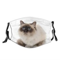 yanfind Isolated Pet Kitten Studio Cat Ragdoll Birman Dust Washable Reusable Filter and Reusable Mouth Warm Windproof Cotton Face
