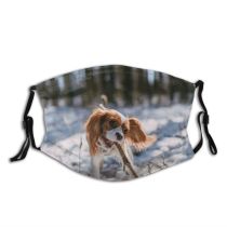 yanfind Charles Playing Estonia Moving Royal Spaniel King Snow Thoroughbred Cavalry Sky Below Dust Washable Reusable Filter and Reusable Mouth Warm Windproof Cotton Face