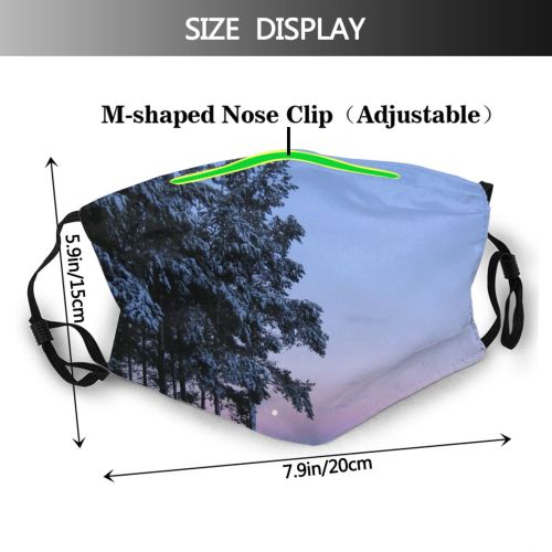 yanfind Winter Finland Landscape Scenery Sky Tree Winter Natural Freezing Atmospheric Snow Seasons Dust Washable Reusable Filter and Reusable Mouth Warm Windproof Cotton Face