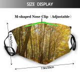 yanfind Natural Autumn Leaves Landscape York Fall Road Forest Hardwood Leaf Northern Tree   Dust Washable Reusable Filter and Reusable Mouth Warm Windproof Cotton Face
