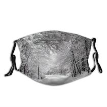 yanfind Winter Winter Natural Atmospheric Landscape Snow Road Tree Tree Frost Road Ozalj Dust Washable Reusable Filter and Reusable Mouth Warm Windproof Cotton Face