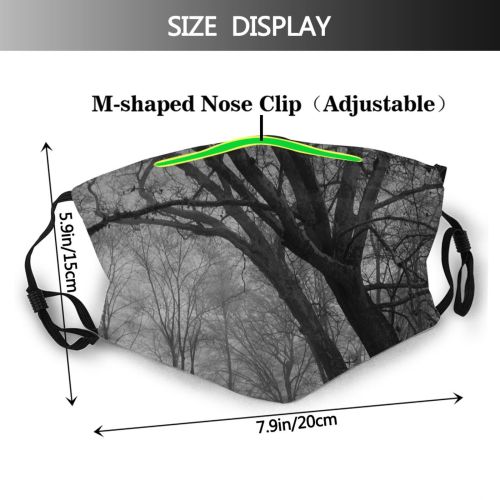 yanfind Winter Landscape Sky Tree Branch Natural Atmospheric Dust Washable Reusable Filter and Reusable Mouth Warm Windproof Cotton Face