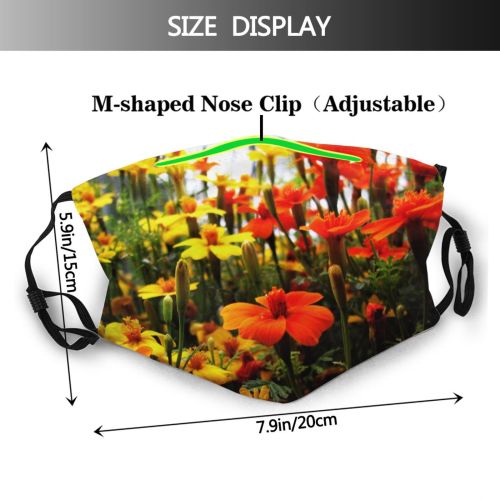 yanfind Plant Annual Plant Stem Flower Flowers Flowering Botany Spring Garden Coquelicot Flower Dust Washable Reusable Filter and Reusable Mouth Warm Windproof Cotton Face