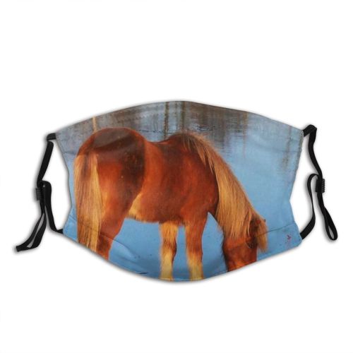 yanfind Grazing Vertebrate Mare Mustang Horse Sorrel Pony Horse Mane Dust Washable Reusable Filter and Reusable Mouth Warm Windproof Cotton Face