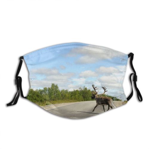 yanfind Highway Trip Tarmac Safety Deer National Deer Sky Road Reindeer Arctic Tree Dust Washable Reusable Filter and Reusable Mouth Warm Windproof Cotton Face
