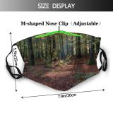 yanfind Temperate HDR Natural Sun Autumn Floor October Landscape Fall Broadleaf Forrest High Dust Washable Reusable Filter and Reusable Mouth Warm Windproof Cotton Face
