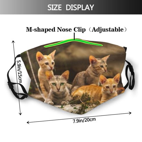 yanfind Mother Little Cat Feeding Cute Kitty Kittens Shorthair Newborn Wildlife Summer Ginger Dust Washable Reusable Filter and Reusable Mouth Warm Windproof Cotton Face