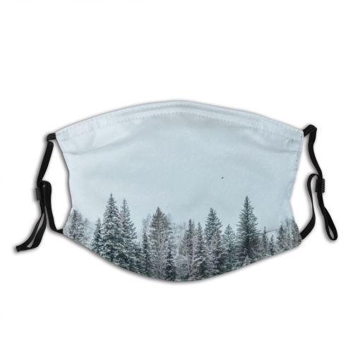 yanfind Country Frost Hill Sunset Landscape Coniferous Frozen Rural Tree Scene Snow Event Dust Washable Reusable Filter and Reusable Mouth Warm Windproof Cotton Face