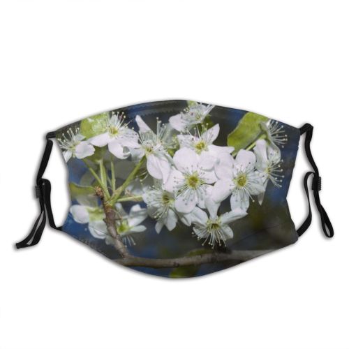 yanfind May Flower Prunus Blossum Spring Sky Limb Spring Leaves Branch Plant Flowers Dust Washable Reusable Filter and Reusable Mouth Warm Windproof Cotton Face