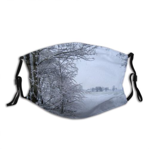 yanfind Winter Landscape Land Trees Sky Tree Winter Natural Atmospheric Freezing Snow Snow Dust Washable Reusable Filter and Reusable Mouth Warm Windproof Cotton Face
