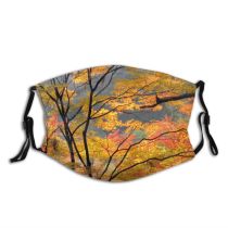 yanfind Temperate Natural Autumn Woody Leaves Landscape Fall Broadleaf Branch Japan Momiji Nagoya Dust Washable Reusable Filter and Reusable Mouth Warm Windproof Cotton Face