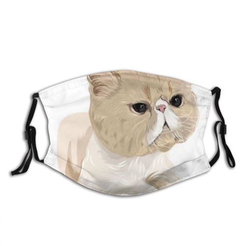 yanfind Isolated Cat Kitty Cute Puppy Pedigree Design Face Pet Fluffy Art Doggy Dust Washable Reusable Filter and Reusable Mouth Warm Windproof Cotton Face