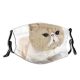 yanfind Isolated Cat Kitty Cute Puppy Pedigree Design Face Pet Fluffy Art Doggy Dust Washable Reusable Filter and Reusable Mouth Warm Windproof Cotton Face