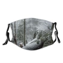 yanfind Winter Winter Natural Atmospheric Growth Landscape Snow Forest Tree Forest Mountains Old Dust Washable Reusable Filter and Reusable Mouth Warm Windproof Cotton Face