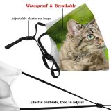 yanfind Garden Fur Mongrel Young Sunlight Cat Kitty Cute Backyard Parkland May Coon Dust Washable Reusable Filter and Reusable Mouth Warm Windproof Cotton Face