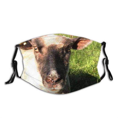 yanfind Family Vertebrate Portait Terrestrial Sheep Grass Cow Pasture Snout Goat Sheep Dust Washable Reusable Filter and Reusable Mouth Warm Windproof Cotton Face