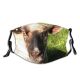 yanfind Family Vertebrate Portait Terrestrial Sheep Grass Cow Pasture Snout Goat Sheep Dust Washable Reusable Filter and Reusable Mouth Warm Windproof Cotton Face