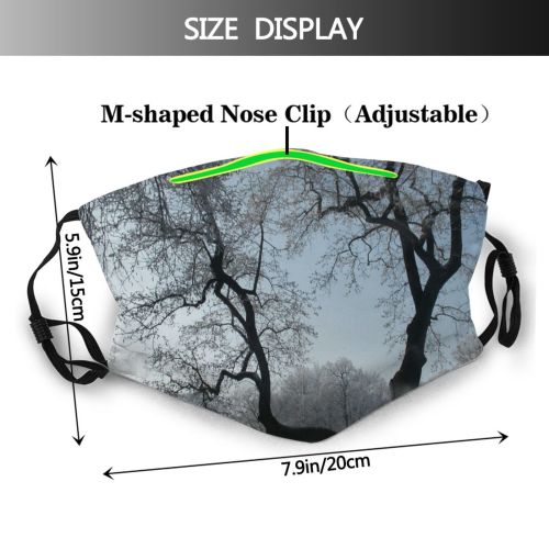yanfind Winter Natural Winter Woody Landscape Sky Plant Ice Branch Snow Landscapes Tree Dust Washable Reusable Filter and Reusable Mouth Warm Windproof Cotton Face