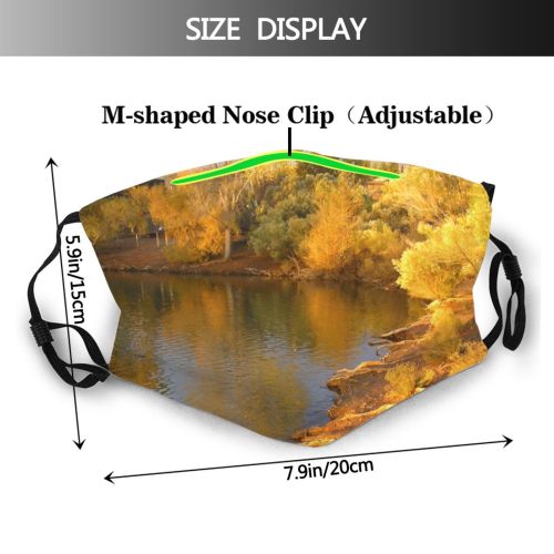 yanfind Cottonwood Natural Autumn Landscape Reflection Fall Sky Leaf Pond Tree Tree Bank Dust Washable Reusable Filter and Reusable Mouth Warm Windproof Cotton Face