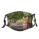 yanfind Country Garden Fur Cat Kitty Cute Backyard Shorthair Natural Wildlife Fauna Summer Dust Washable Reusable Filter and Reusable Mouth Warm Windproof Cotton Face