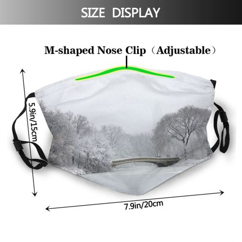 yanfind Public Central Manhattan Frozen Built Tree Scene Snow City Place York Pond Dust Washable Reusable Filter and Reusable Mouth Warm Windproof Cotton Face
