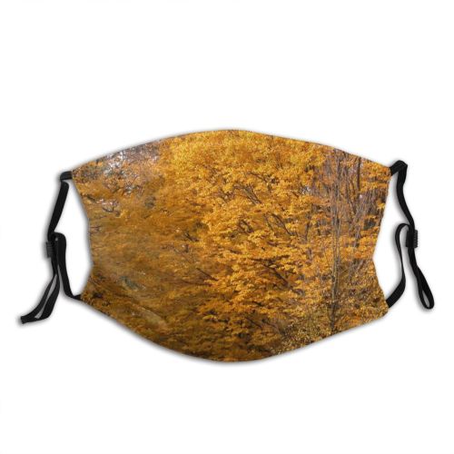 yanfind Natural Autumn Woody Warszawa Landscape Plant Leaf Tree Tree Autumn Warsaw Biome Dust Washable Reusable Filter and Reusable Mouth Warm Windproof Cotton Face