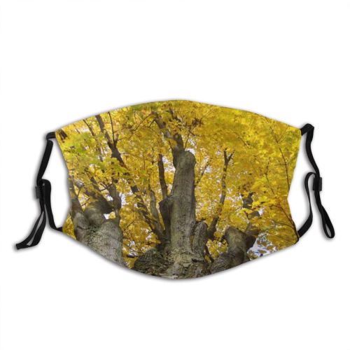 yanfind Texture Autumn Woody Shellbark Plant Fall Branch Forest Bark Leaf Tree Tree Dust Washable Reusable Filter and Reusable Mouth Warm Windproof Cotton Face