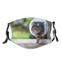 yanfind Garden Whisker Fur Cat Cute Coon Focus Window Door Entering Room Summer Dust Washable Reusable Filter and Reusable Mouth Warm Windproof Cotton Face