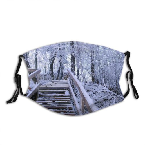 yanfind Winter Winter Natural Growth Stairs Ice Snow Forest Tree Forest Frost Biome Dust Washable Reusable Filter and Reusable Mouth Warm Windproof Cotton Face