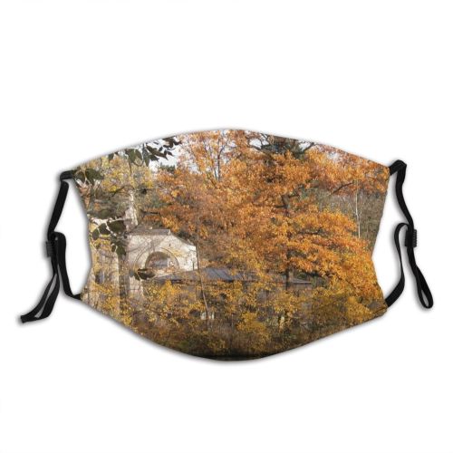 yanfind Leafs Landscape Vegetation Leaf Reflection Tree Bank Natural Autumn Warsaw Autumn Warszawa Dust Washable Reusable Filter and Reusable Mouth Warm Windproof Cotton Face