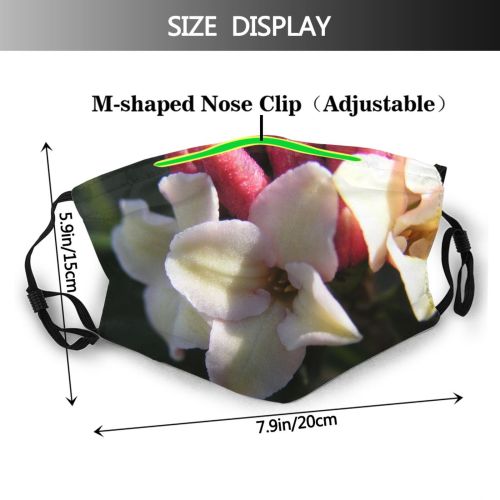 yanfind Flowering Flower Cattleya Orchid Terrestrial Plant Orchids Plant Petal Philippines Flower Dust Washable Reusable Filter and Reusable Mouth Warm Windproof Cotton Face