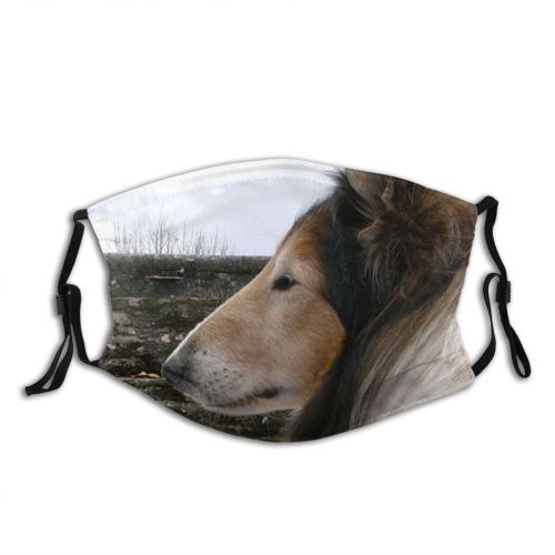 yanfind Rough Sheepdog Rough Galicia Dog Shetland Serious Canidae Dog Sideway Collies Snout Dust Washable Reusable Filter and Reusable Mouth Warm Windproof Cotton Face