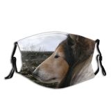 yanfind Rough Sheepdog Rough Galicia Dog Shetland Serious Canidae Dog Sideway Collies Snout Dust Washable Reusable Filter and Reusable Mouth Warm Windproof Cotton Face