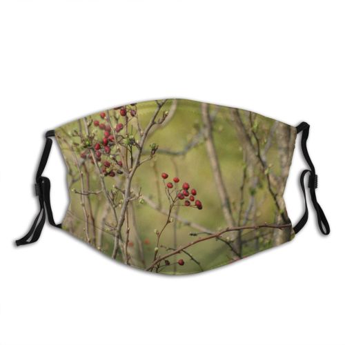 yanfind Spring Buds Limb Berry Woody Branches Branch Plant Wildflower Branch Flower Flowering Dust Washable Reusable Filter and Reusable Mouth Warm Windproof Cotton Face