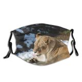 yanfind Winter Felidae Big Tongue Wilderness Carnivore Cat Pad Lion Whiskers Vertebrate Cats Dust Washable Reusable Filter and Reusable Mouth Warm Windproof Cotton Face