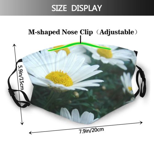yanfind Plant Daisy Mayweed Outside Marguerite Flower Outdoor Flowering Daisy Chamaemelum Garden Oxeye Dust Washable Reusable Filter and Reusable Mouth Warm Windproof Cotton Face