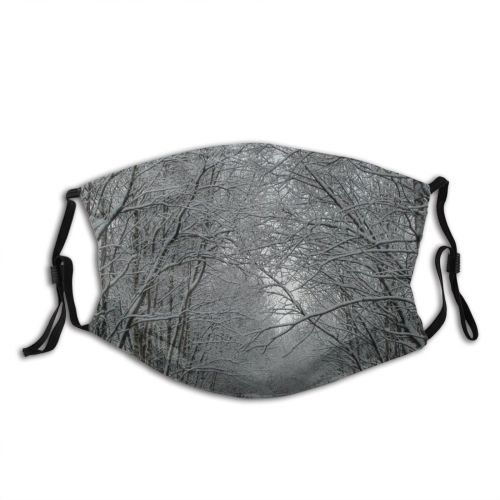 yanfind Landscape Sky Tree Branch Plant Winter Natural Freezing Atmospheric Snow Woody Dust Washable Reusable Filter and Reusable Mouth Warm Windproof Cotton Face