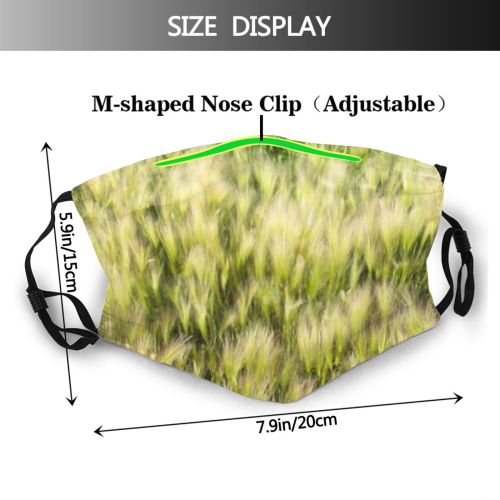 yanfind Cereal Wheat Beautiful Meadow Season Field Texture Farm Harvest Natural Summer Rural Dust Washable Reusable Filter and Reusable Mouth Warm Windproof Cotton Face
