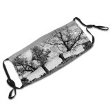 yanfind Dead Winter Natural Sadness Landscape Sky Branch Tree Tree Leafs Trees Dry Dust Washable Reusable Filter and Reusable Mouth Warm Windproof Cotton Face