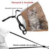 yanfind Comfortable Comfort Thoroughbred Fur Hunter Kuril Young Little Cat Kitty Cute Striped Dust Washable Reusable Filter and Reusable Mouth Warm Windproof Cotton Face