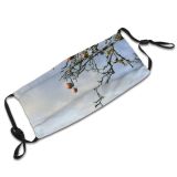 yanfind Persimmons Woody Cloud Sky Plant Fall Branch Fruit Twig Tree Ebony Meadow Dust Washable Reusable Filter and Reusable Mouth Warm Windproof Cotton Face