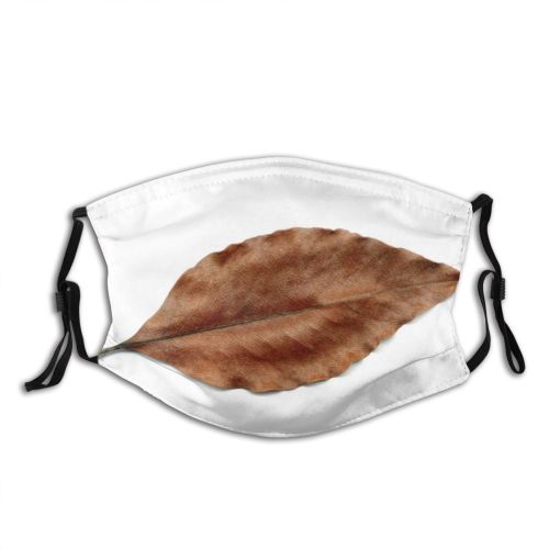 yanfind Texture Leaf Marrom Outono Leaf Natureza Beige Folha Textura Autumn Seca Dry Dust Washable Reusable Filter and Reusable Mouth Warm Windproof Cotton Face