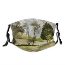 yanfind Idyllic Perspective Mountain Road Daytime Tranquil Scenery Capped Mountains Tree Valley Snow Dust Washable Reusable Filter and Reusable Mouth Warm Windproof Cotton Face