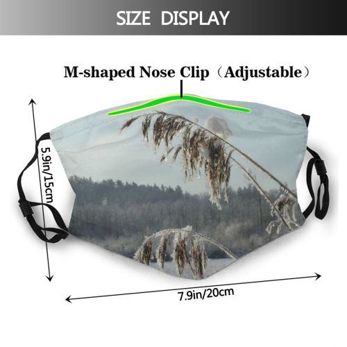 yanfind Winter Family Sky Plant Poales Phragmites Tree Grass Winter Grass Atmospheric Snow Dust Washable Reusable Filter and Reusable Mouth Warm Windproof Cotton Face